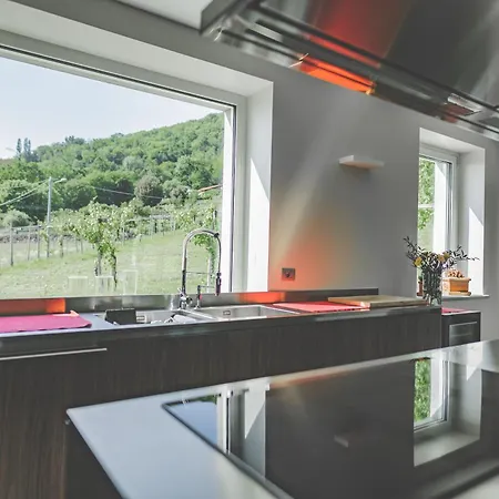 Myvilla 招待所 Palazzo Canavese